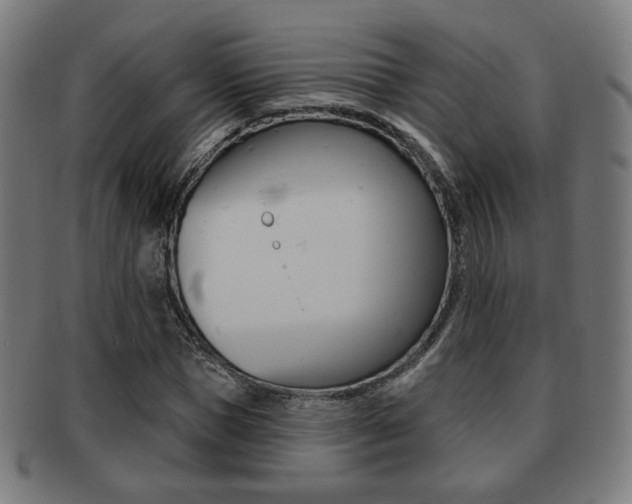 X0000091890921200709051041