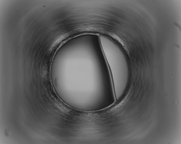 X0000091890922200709051041