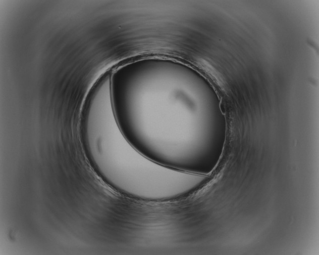 X0000091890924200709051041