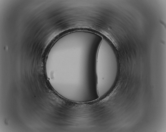 X0000091890926200709051041