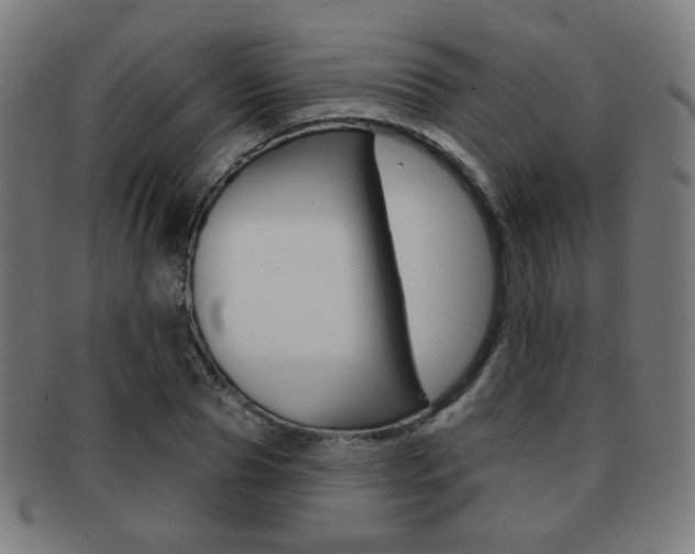 X0000091890929200709051042