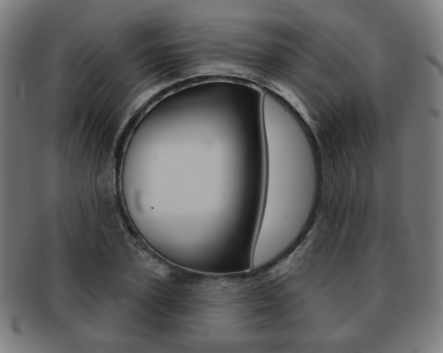 X0000091890931200709051042