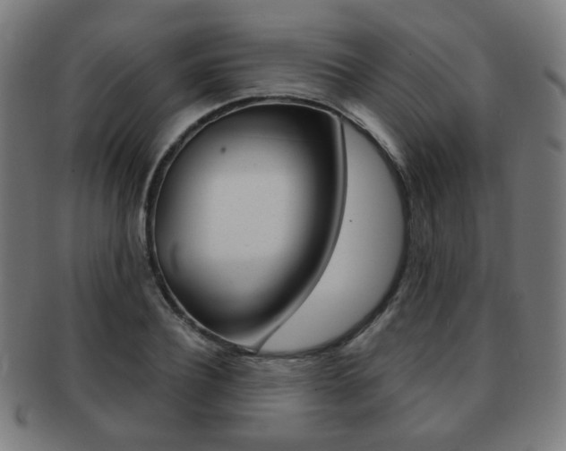X0000091890932200709051042
