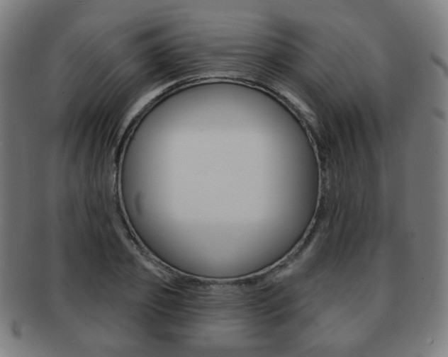 X0000091890933200709051042
