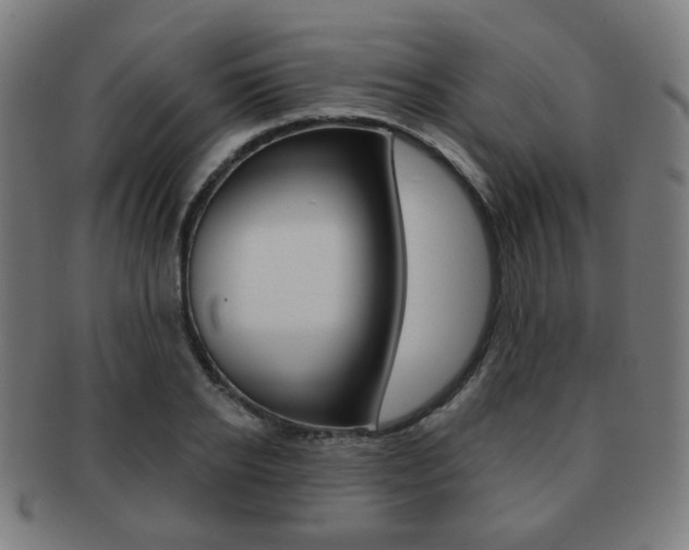 X0000091890934200709051042