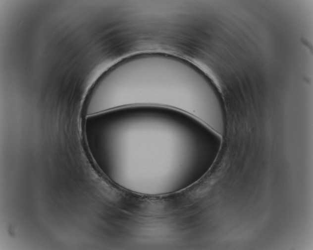 X0000091890935200709051042