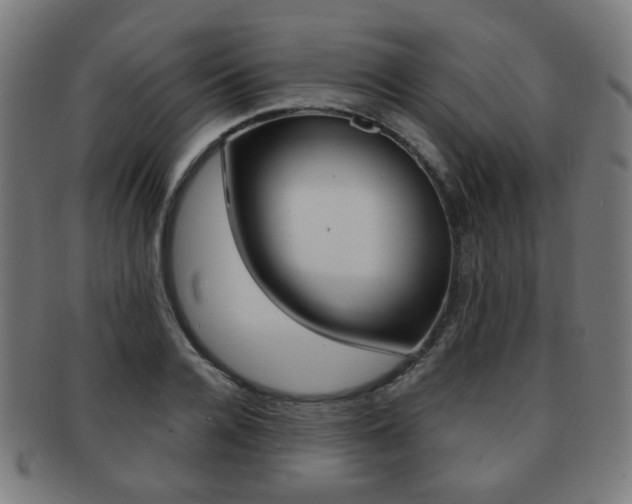 X0000091890936200709051042