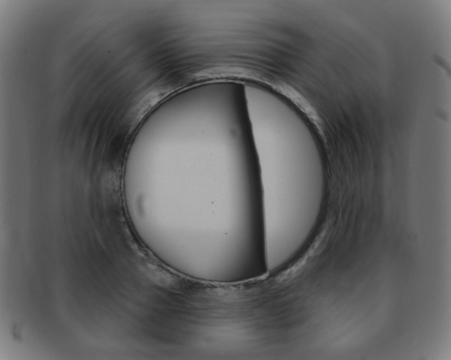 X0000091890937200709051042