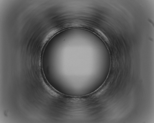 X0000091890938200709051042