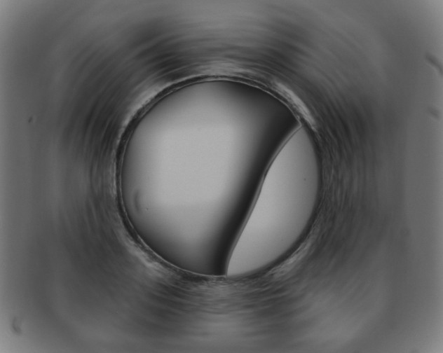 X0000091890939200709051042
