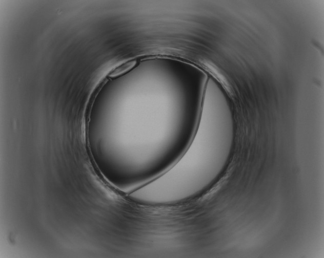 X0000091890940200709051042