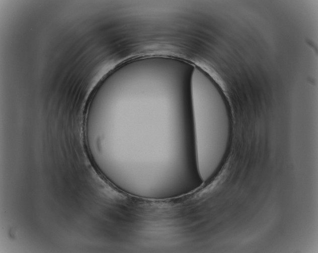 X0000091890941200709051042