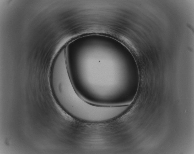 X0000091890942200709051042