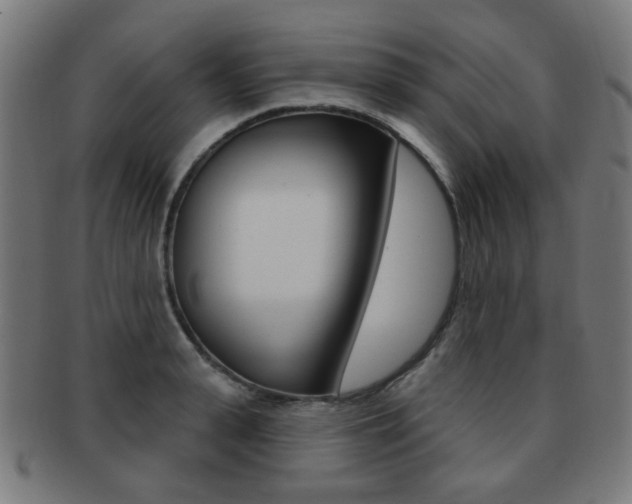 X0000091890943200709051042
