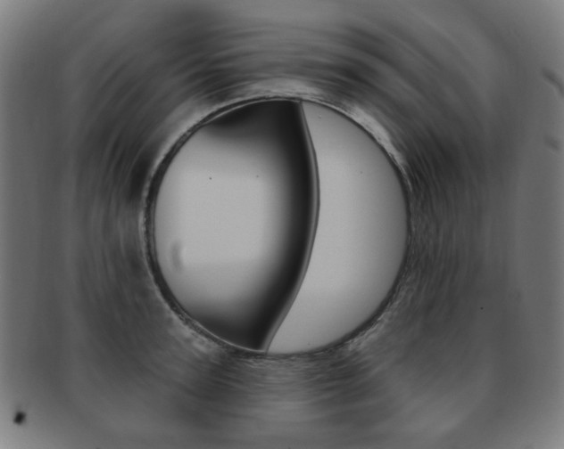 X0000091890947200709051042