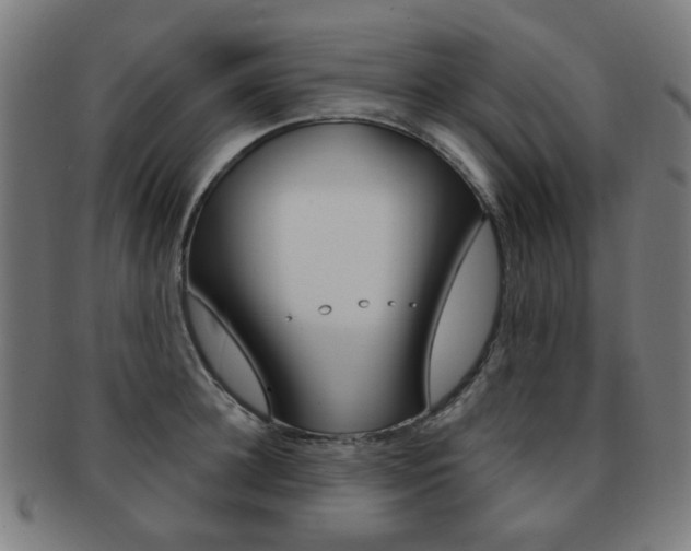 X0000091890948200709051042