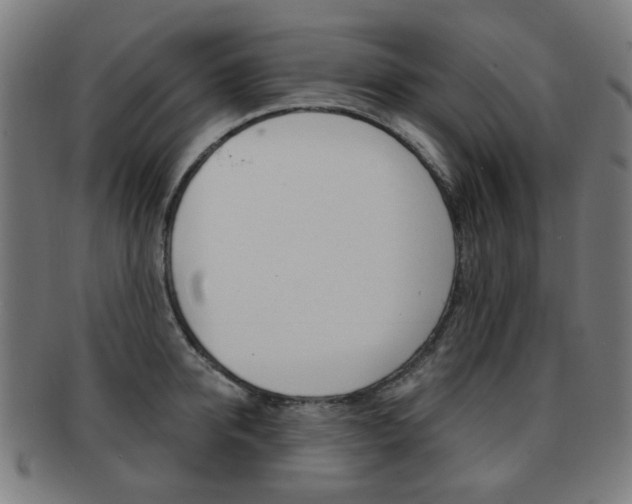 X0000091890950200709051042