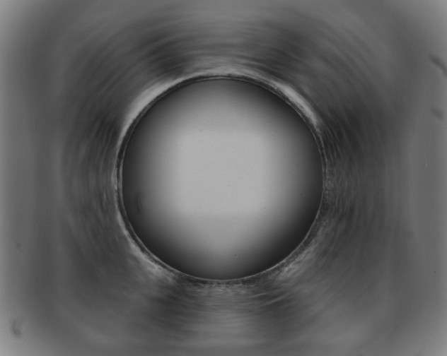 X0000091890951200709051042