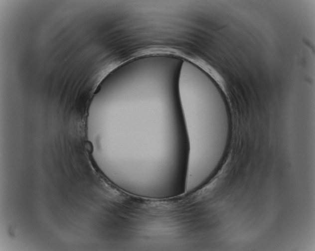 X0000091890953200709051042