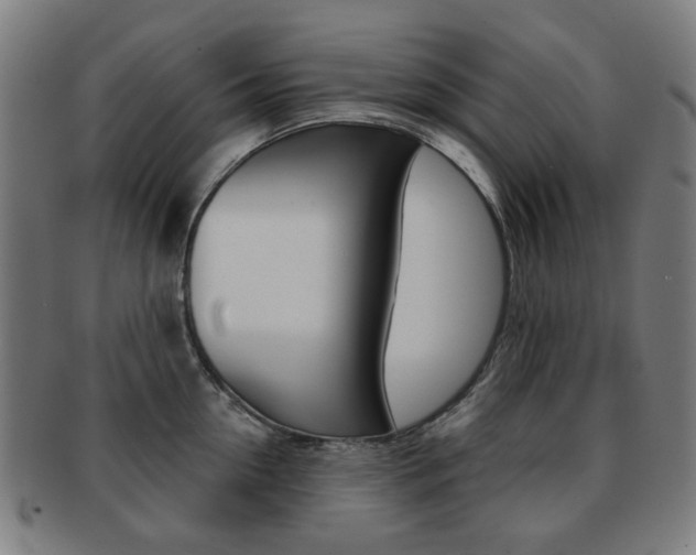 X0000091890954200709051042