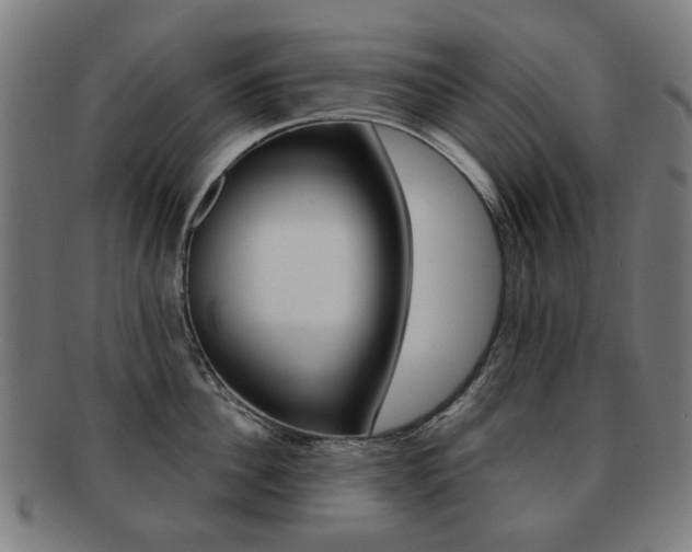 X0000091890956200709051042