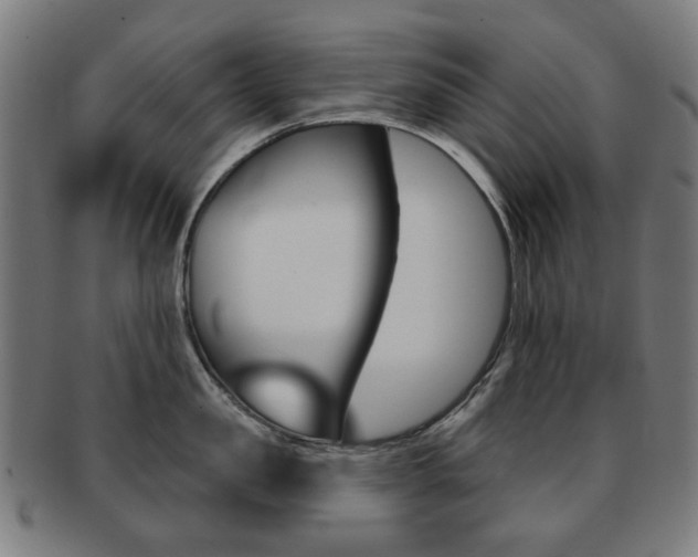 X0000091890957200709051042