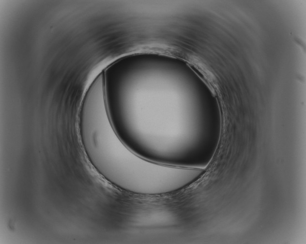 X0000091890960200709051042