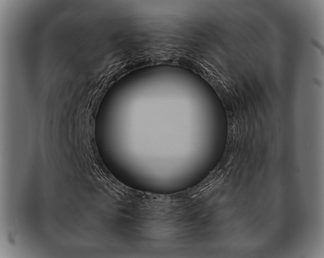 X0000091890961200709051041