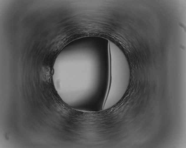 X0000091890963200709051041