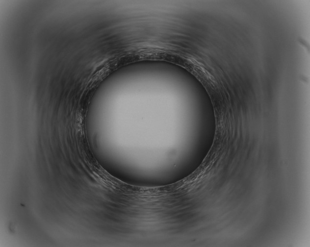 X0000091890964200709051041