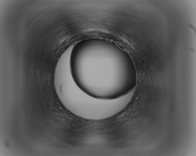 X0000091890965200709051041