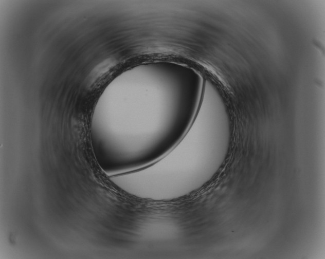 X0000091890967200709051041