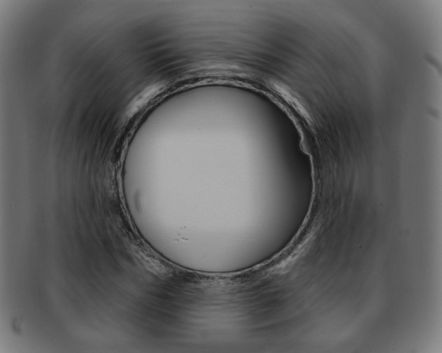 X0000091890970200709051041