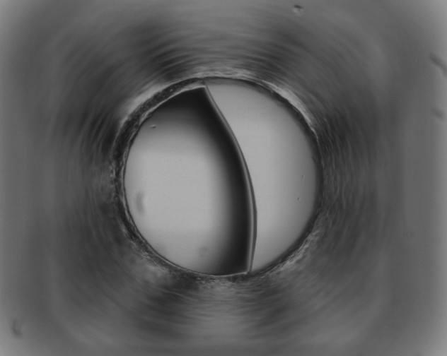 X0000091890971200709051041