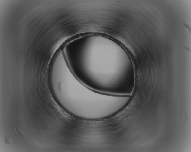 X0000091890972200709051041