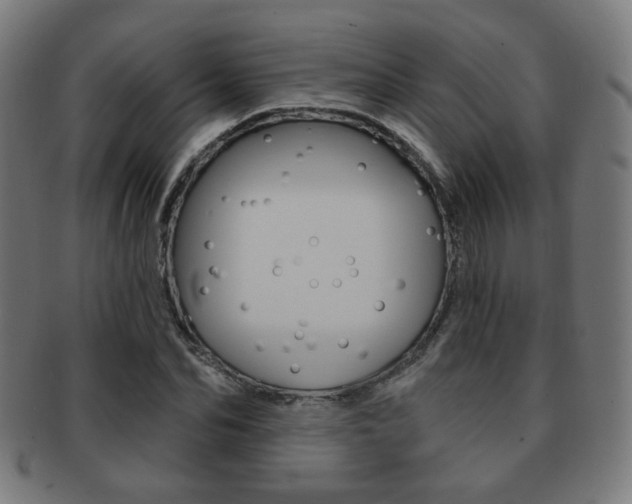 X0000091890974200709051041