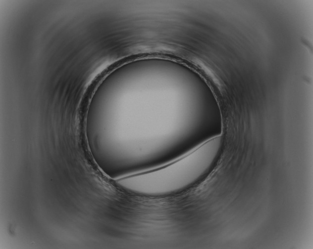 X0000091890975200709051041