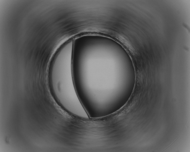 X0000091890976200709051041