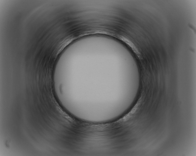 X0000091890977200709051041