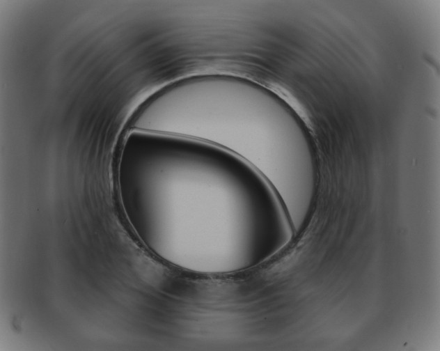 X0000091890980200709051041