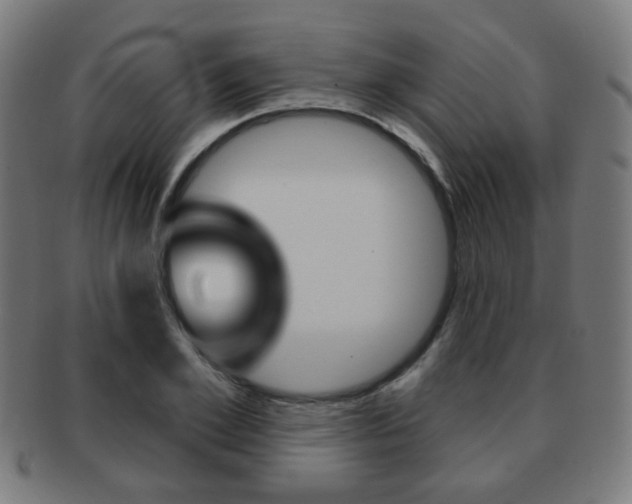 X0000091890981200709051041
