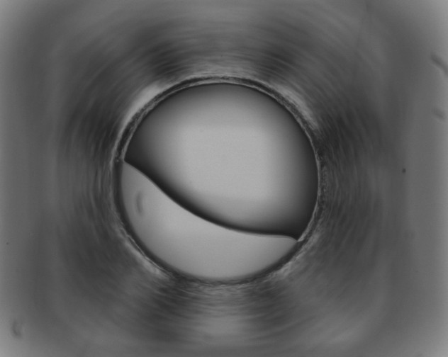 X0000091890982200709051041
