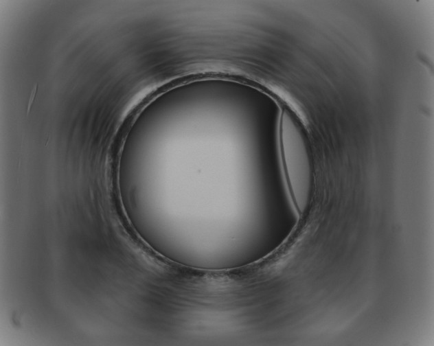 X0000091890983200709051041