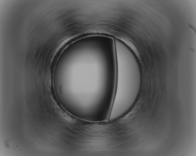 X0000091890984200709051041