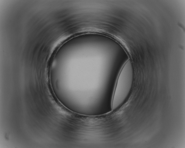 X0000091890987200709051041
