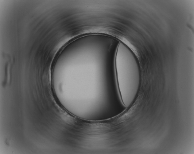 X0000091890988200709051041