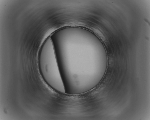 X0000091890990200709051041