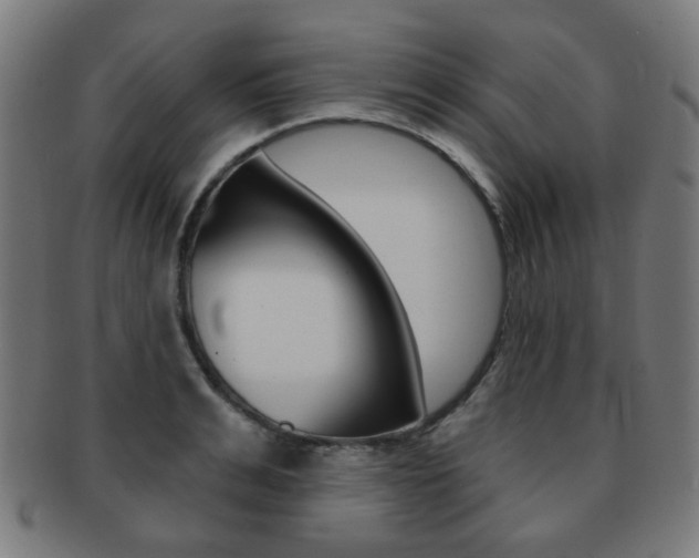X0000091890991200709051041