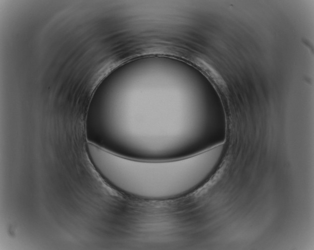 X0000091890993200709051041