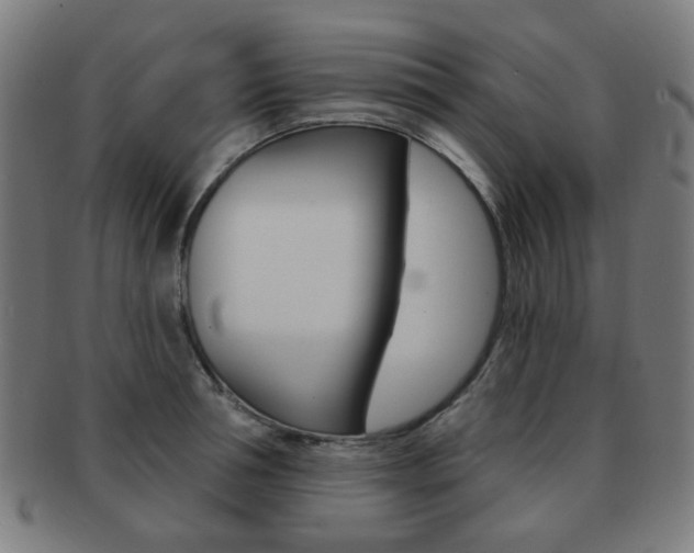 X0000091890994200709051041